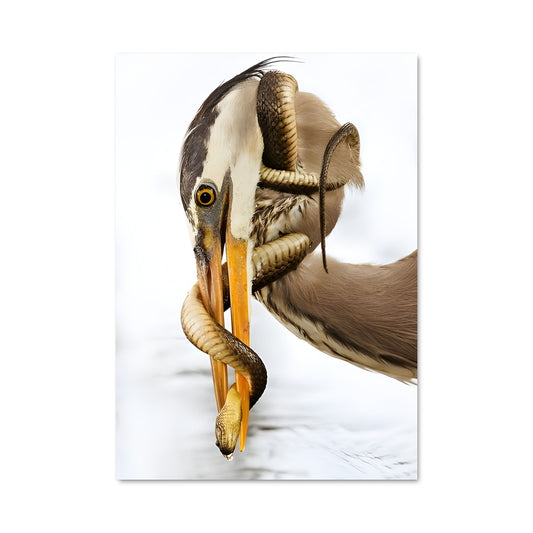 Poster Pêcheur Élégant