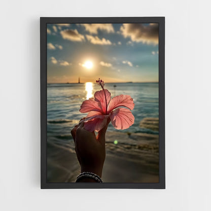 ap-hibiscus-16 cadre Noir