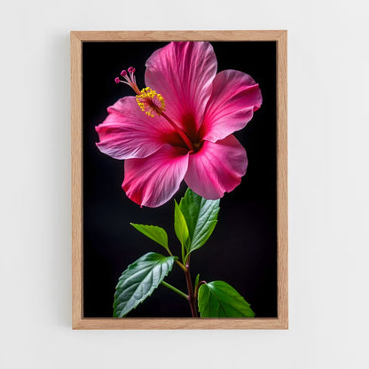ap-hibiscus-2 cadre Bois clair
