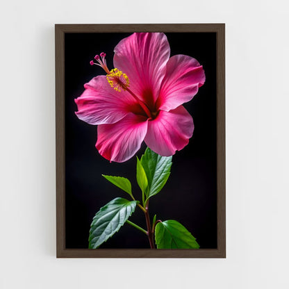 ap-hibiscus-2 cadre Bois foncé