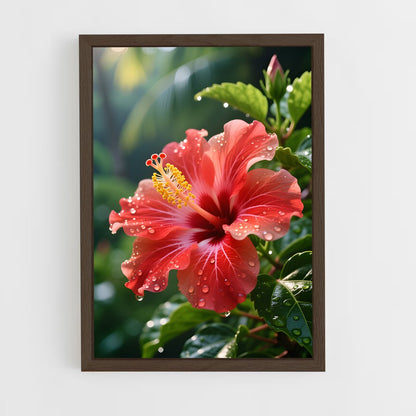 ap-hibiscus-4 cadre Bois foncé