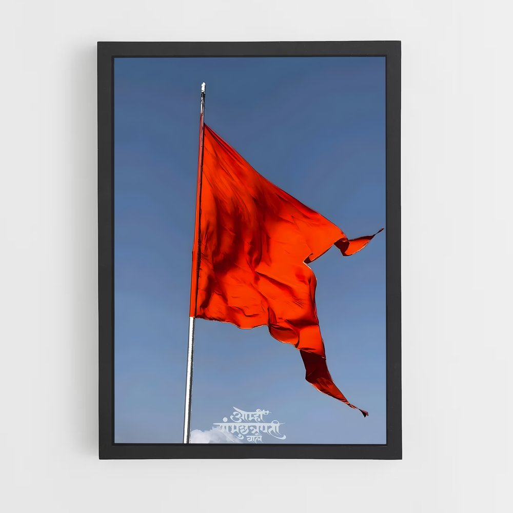 ap-hindu flag-2 cadre Noir