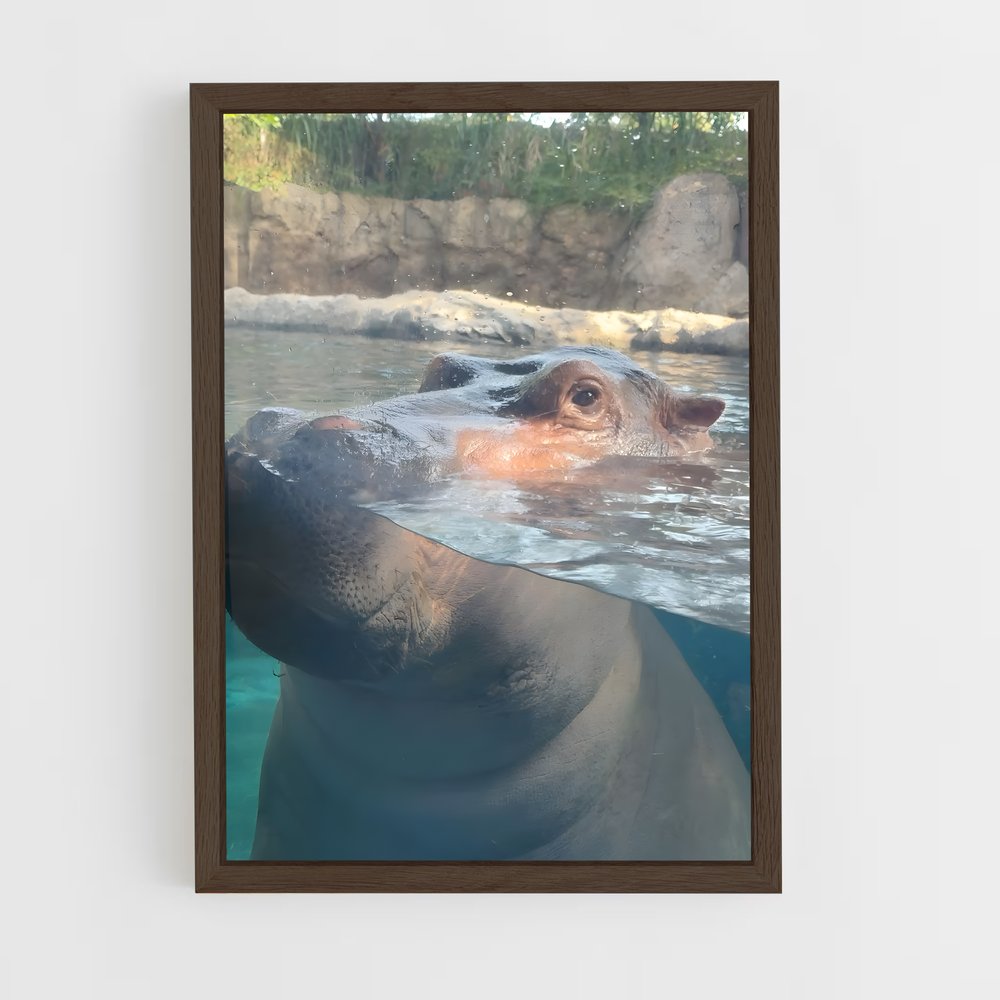 ap-hippo-6 cadre Bois foncé