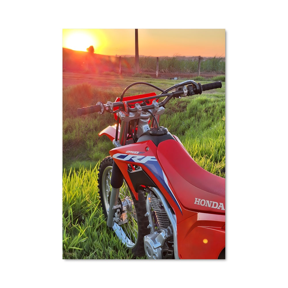 Poster Liberté Rouge