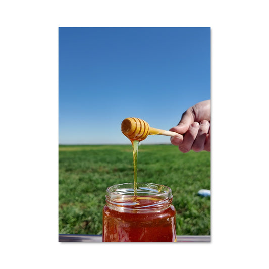 Poster Honey 24557