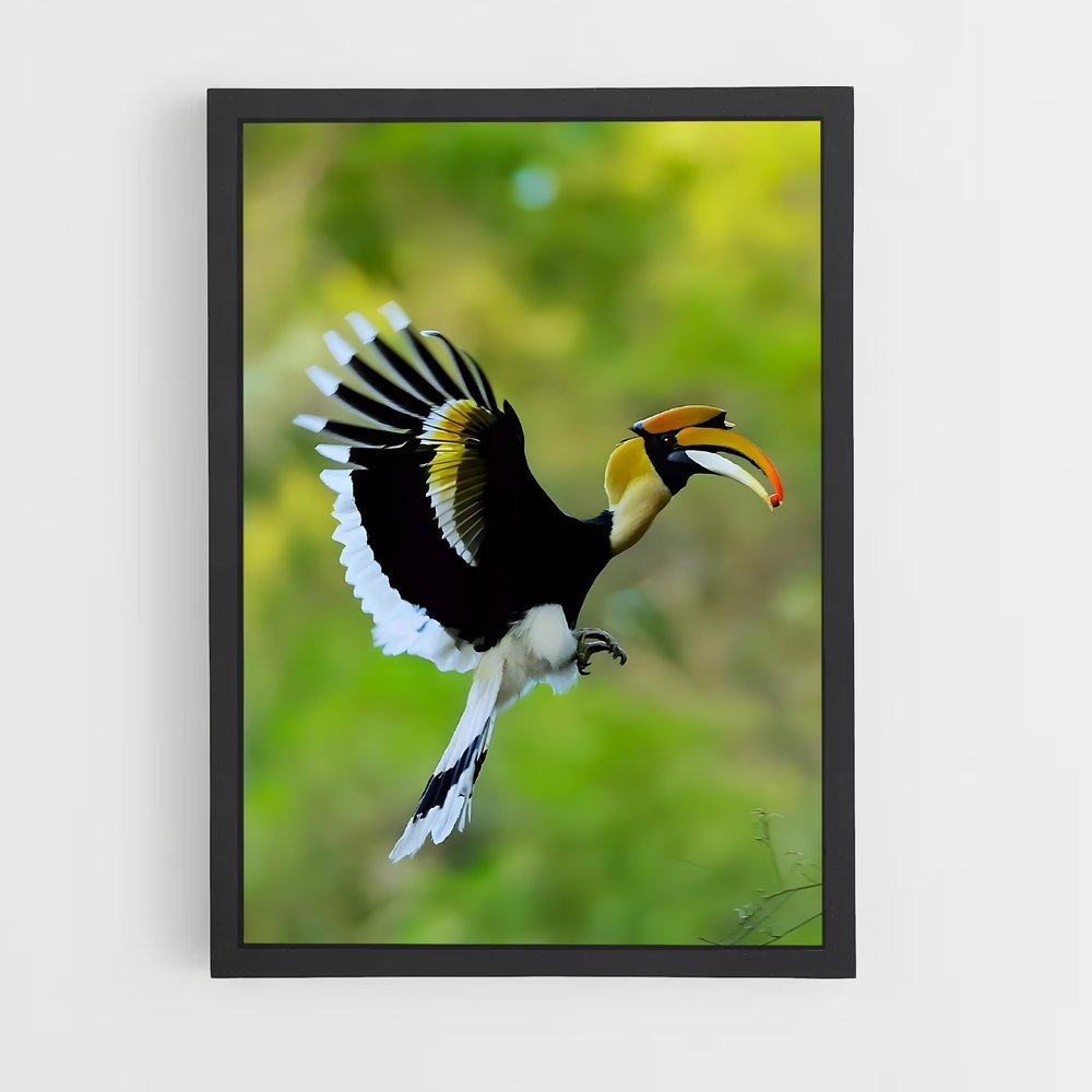 ap-hornbill-4 cadre Noir
