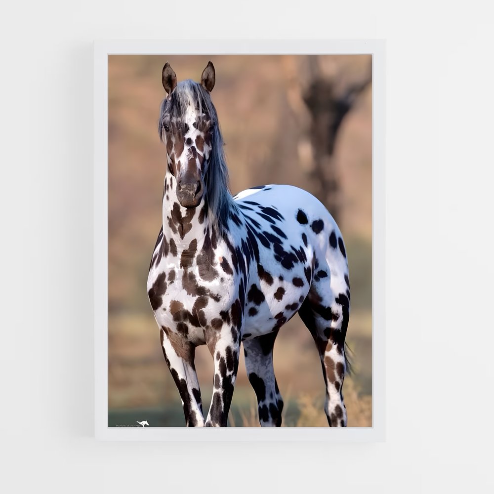 ap-horse-12 cadre Blanc