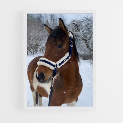 ap-horse-13 cadre Blanc