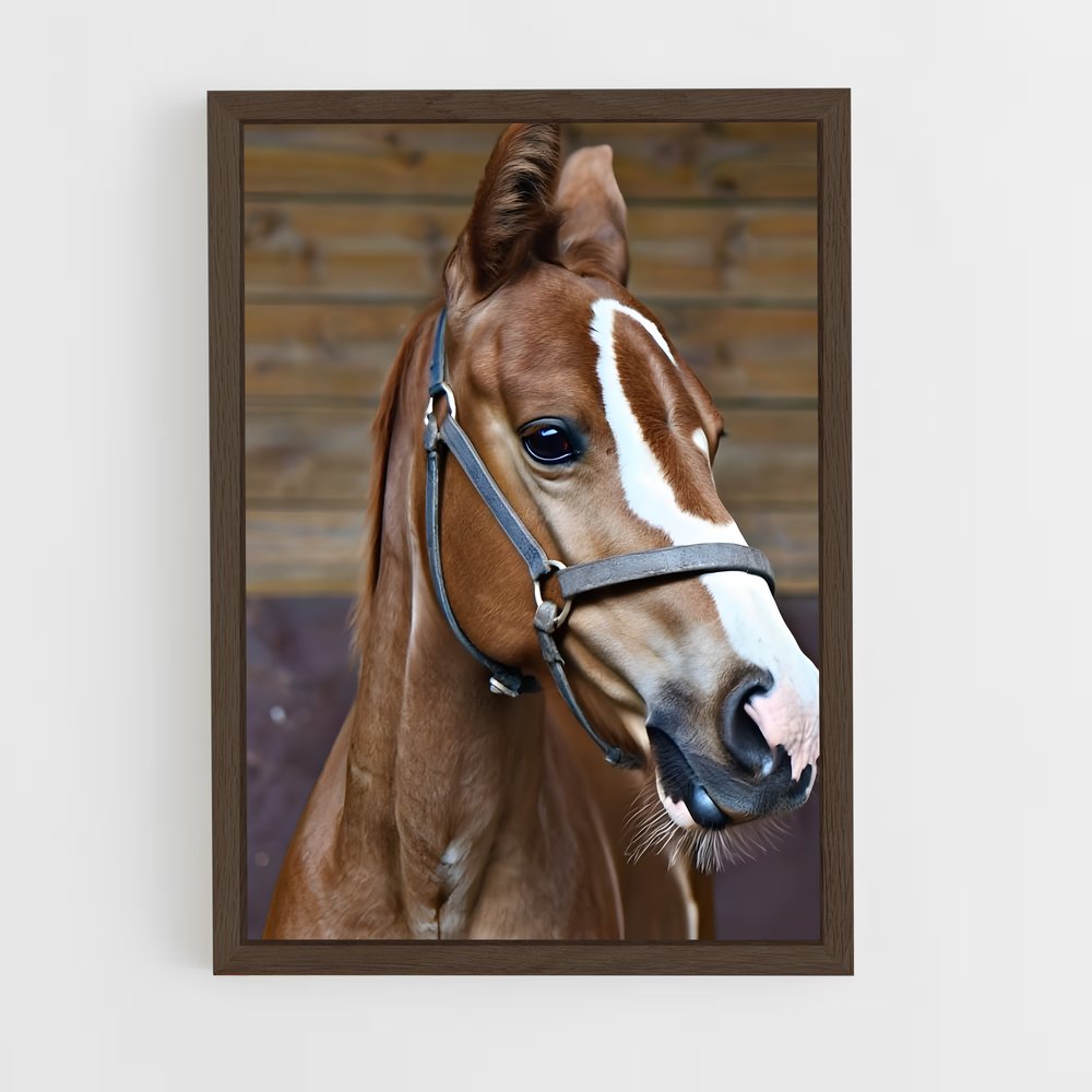 ap-horse-14 cadre Bois foncé