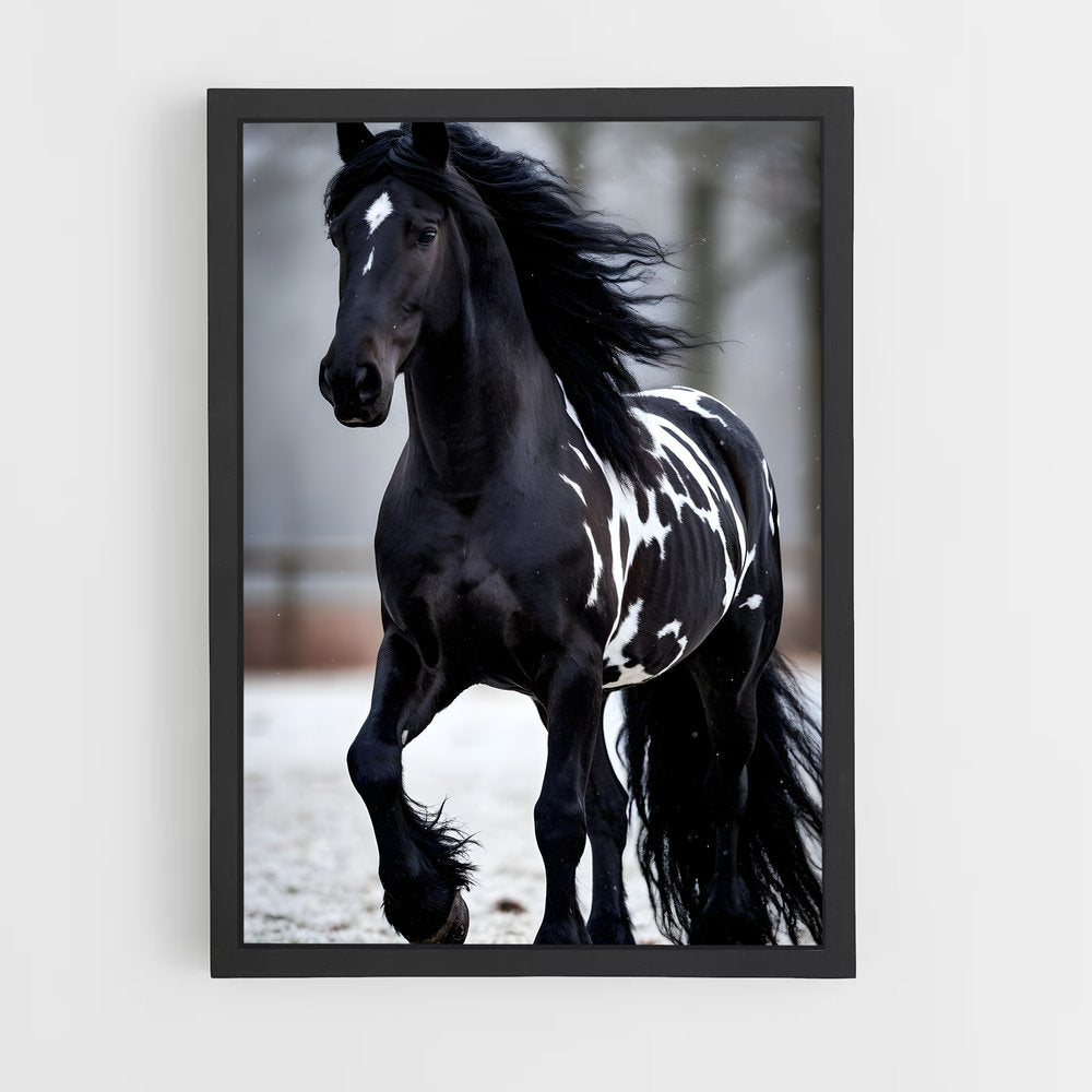 ap-horse-16 cadre Noir