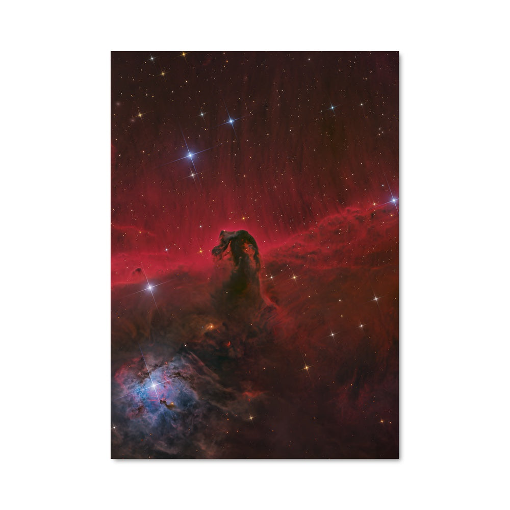 Poster Étoiles de Cheval