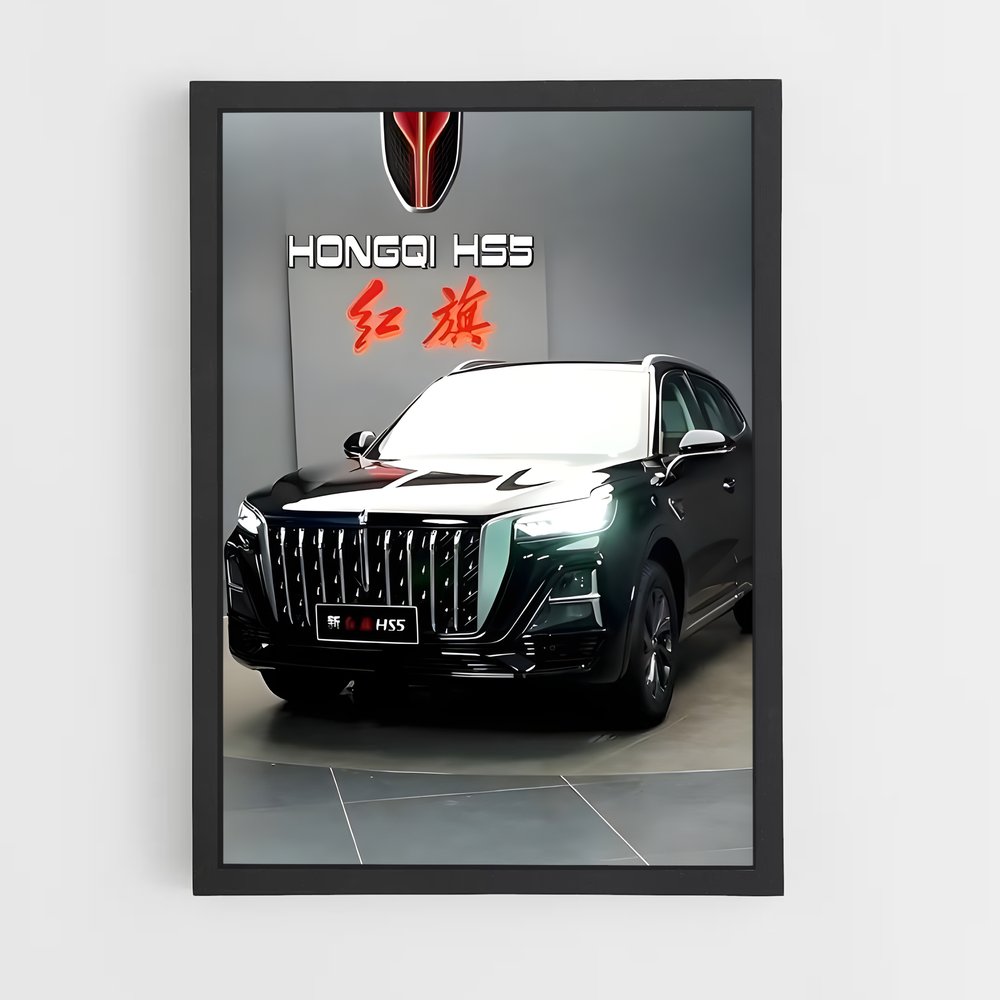 ap-hs5-1 cadre Noir