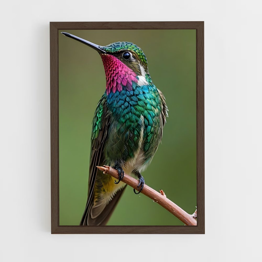 ap-hummingbird-2 cadre Bois foncé