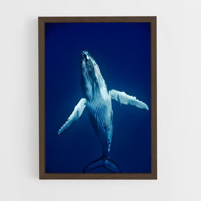 ap-humpback whale-5 cadre Bois foncé