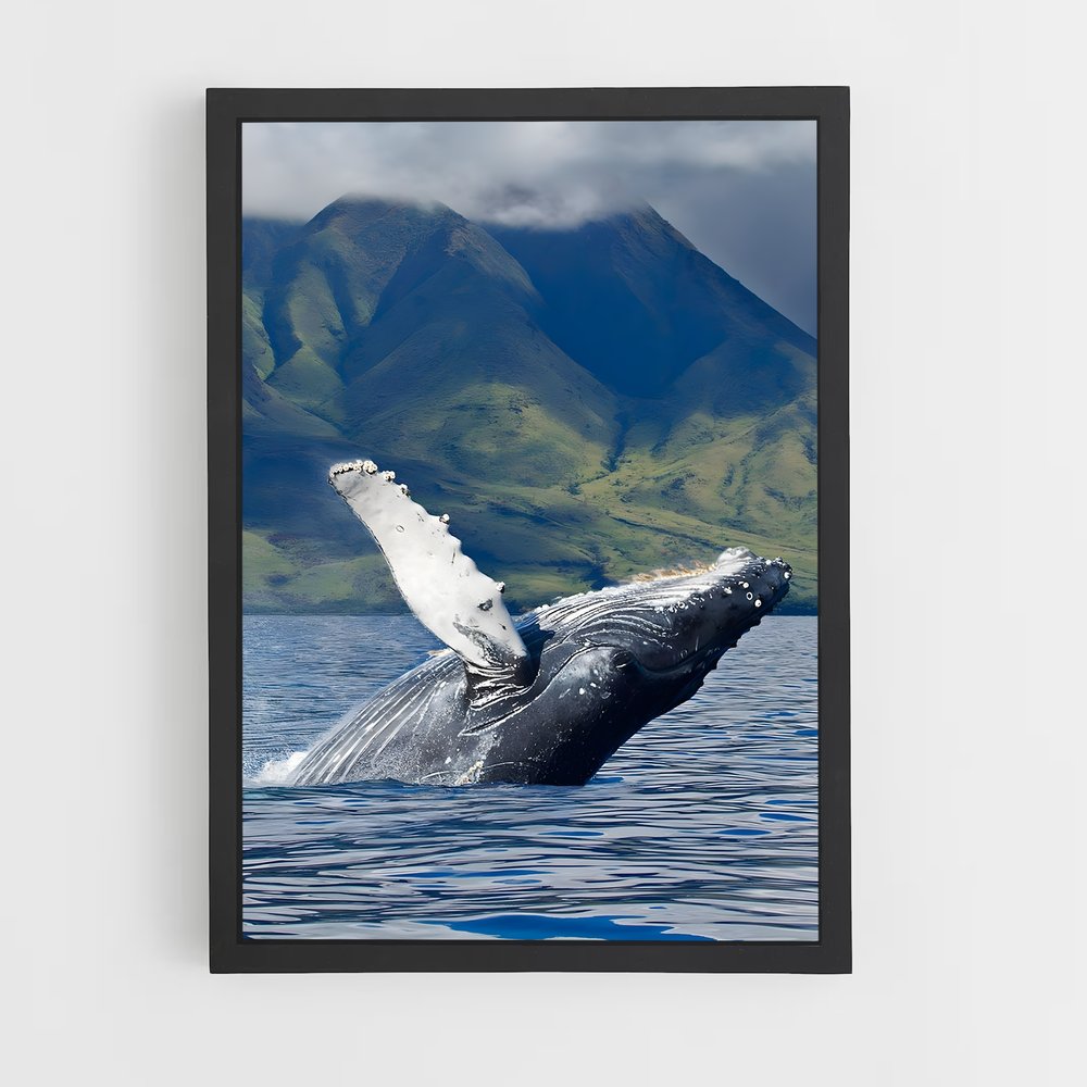 ap-humpback whale-6 cadre Noir