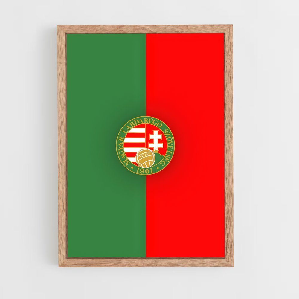ap-hungary national football team-4 cadre Bois clair