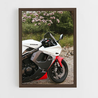 ap-hyosung-2 cadre Bois foncé