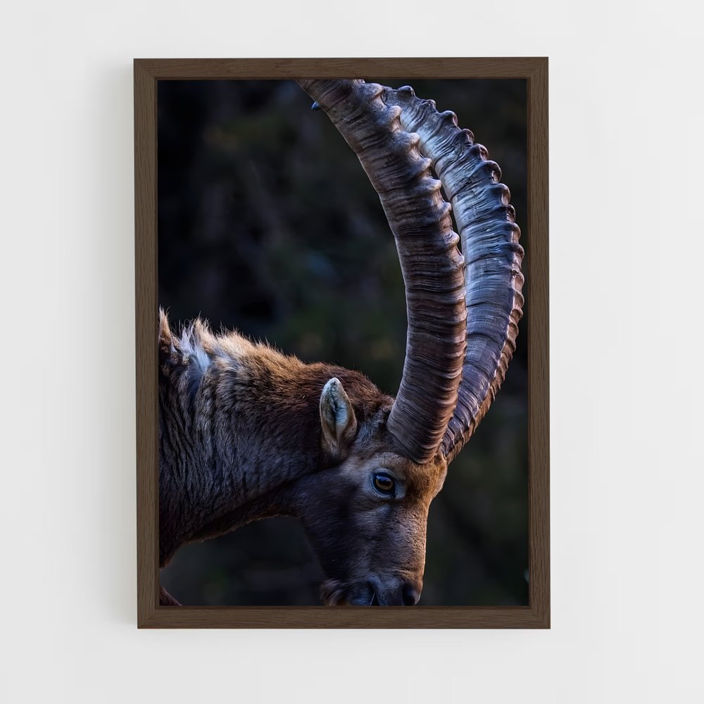ap-ibex-4 cadre Bois foncé