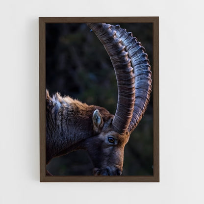 ap-ibex-4 cadre Bois foncé