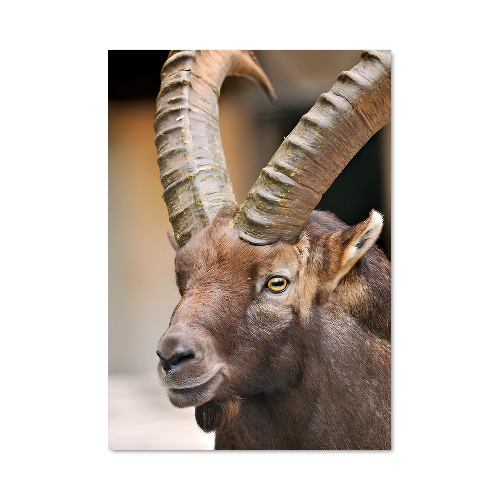 Poster La Montagne Majestueuse