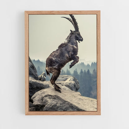 ap-ibex-6 cadre Bois clair