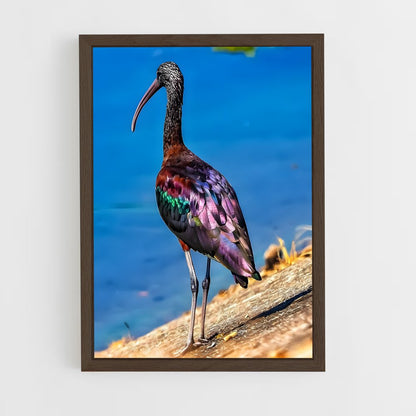 ap-ibis-4 cadre Bois foncé