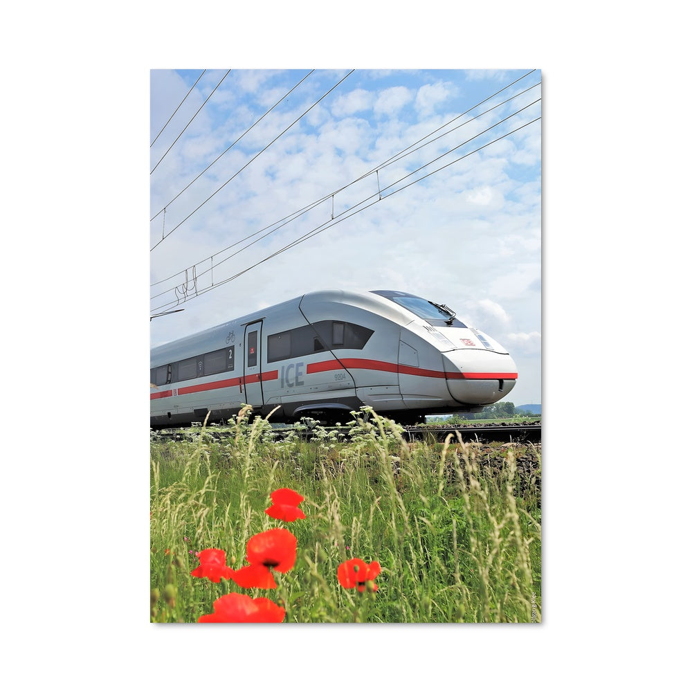 Poster Train des Fleurs