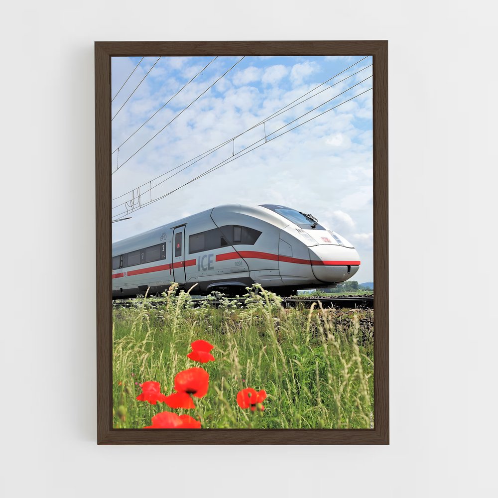 ap-ice deutsche bahn-8 cadre Bois foncé