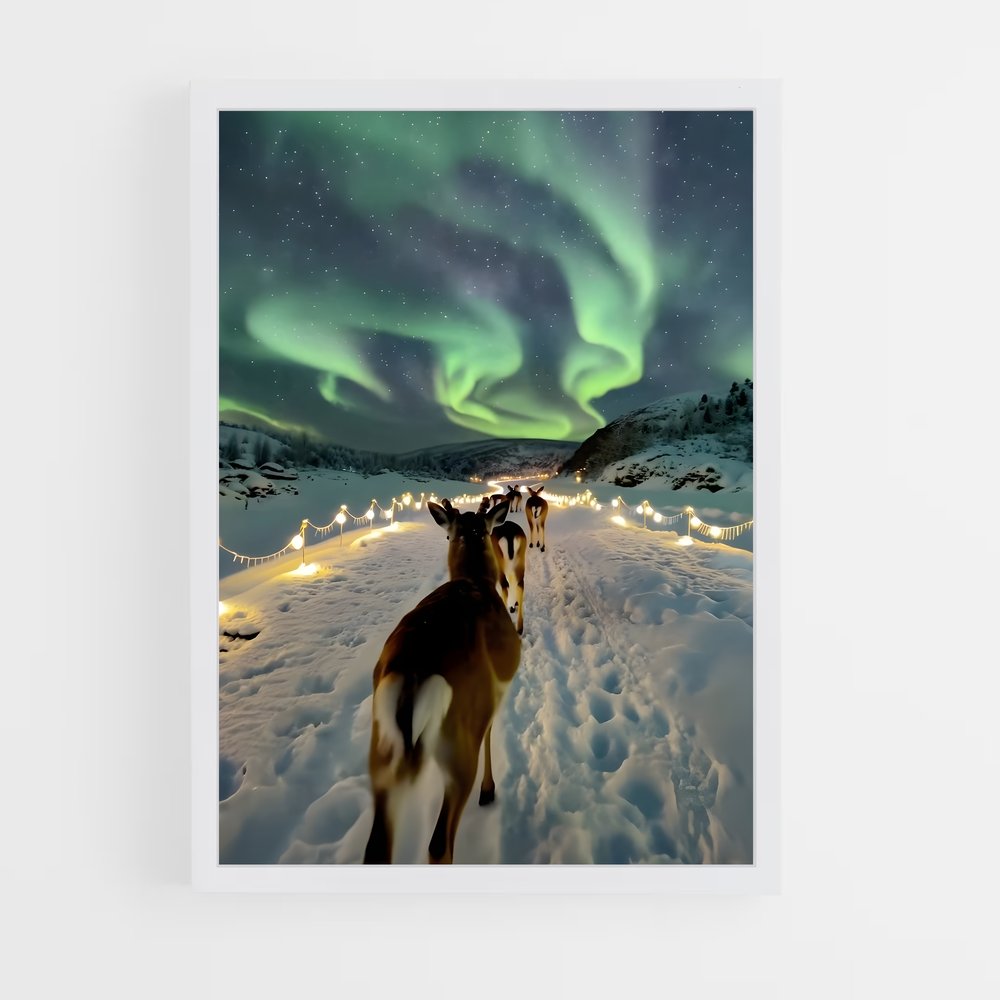 ap-iceland aurora-4 cadre Blanc