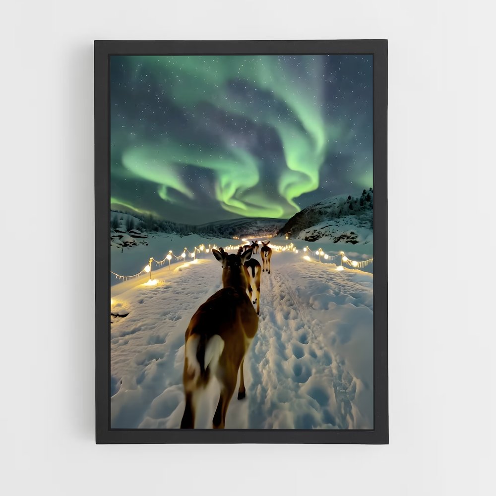 ap-iceland aurora-4 cadre Noir