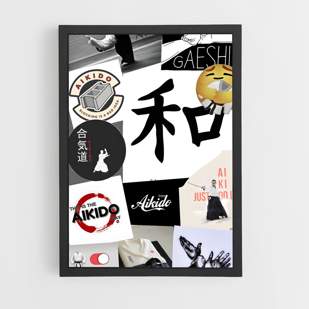 ap-international aikido federation-1 cadre Noir