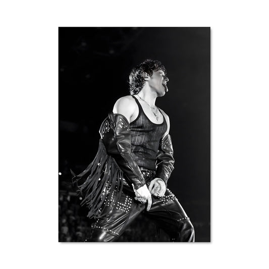 Poster Prince au MTV Concert