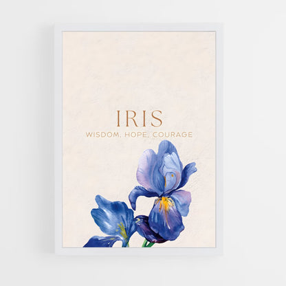 ap-iris-7 cadre Blanc
