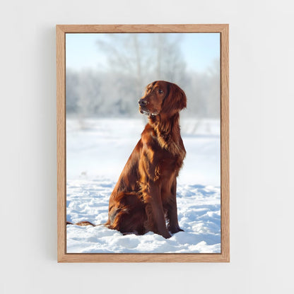ap-irish setter-2 cadre Bois clair