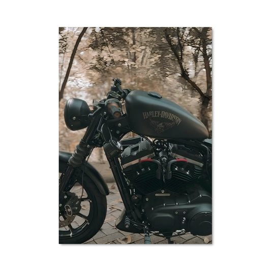 Poster Asphalt Rider