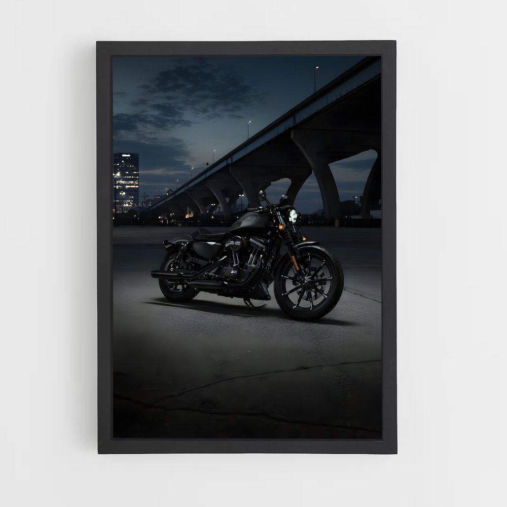 ap-iron 883-1 cadre Noir