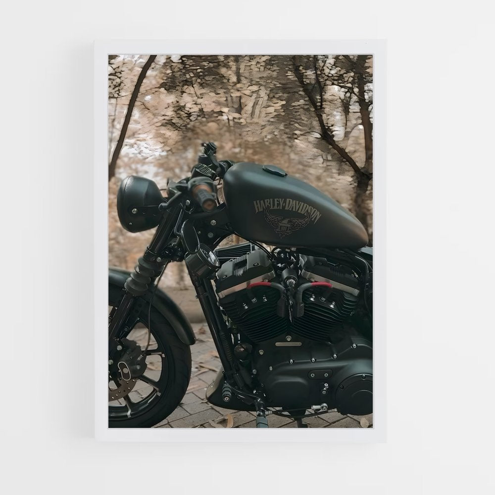 ap-iron 883-4 cadre Blanc