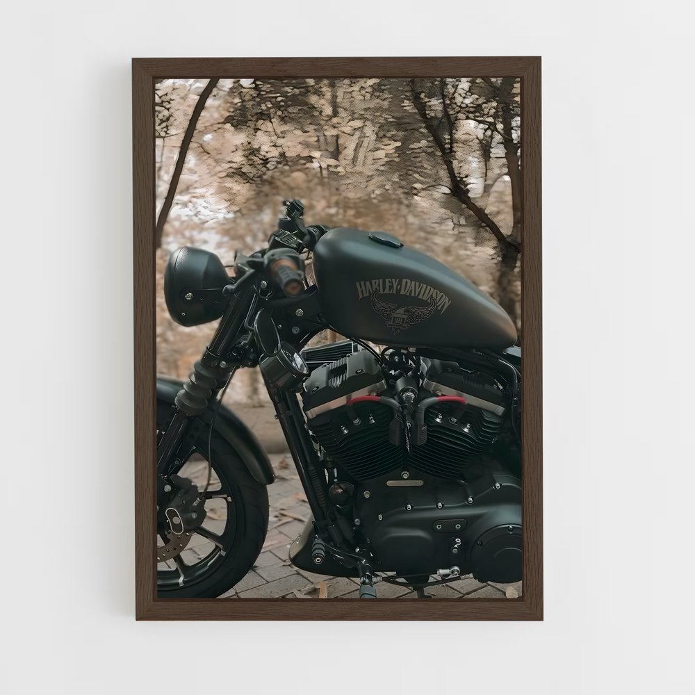 ap-iron 883-4 cadre Bois foncé