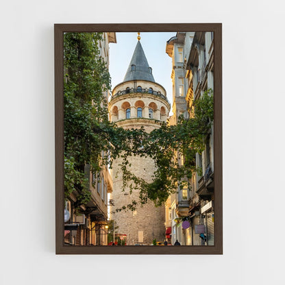 ap-istanbul-1 cadre Bois foncé
