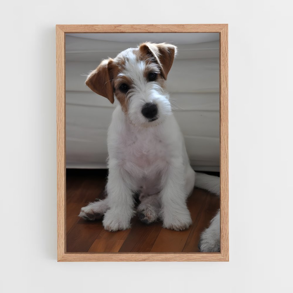 ap-jack russell terrier-1 cadre Bois clair