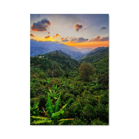 Poster Crépuscule Jamaïcain