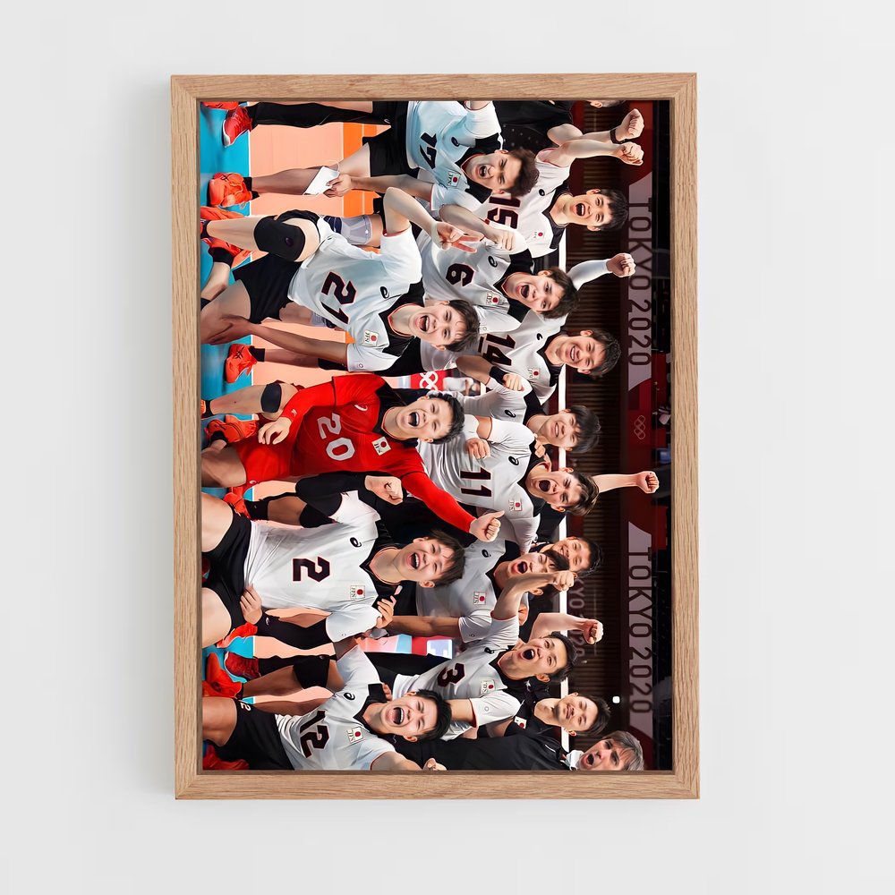 ap-japan national volleyball team-3 cadre Bois clair