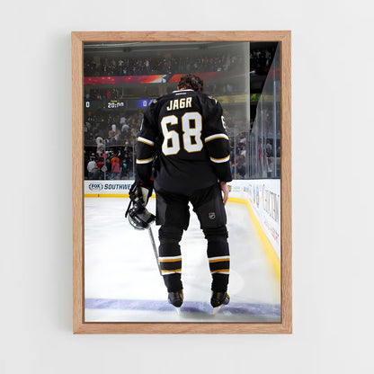 ap-jaromir jagr-2 cadre Bois clair