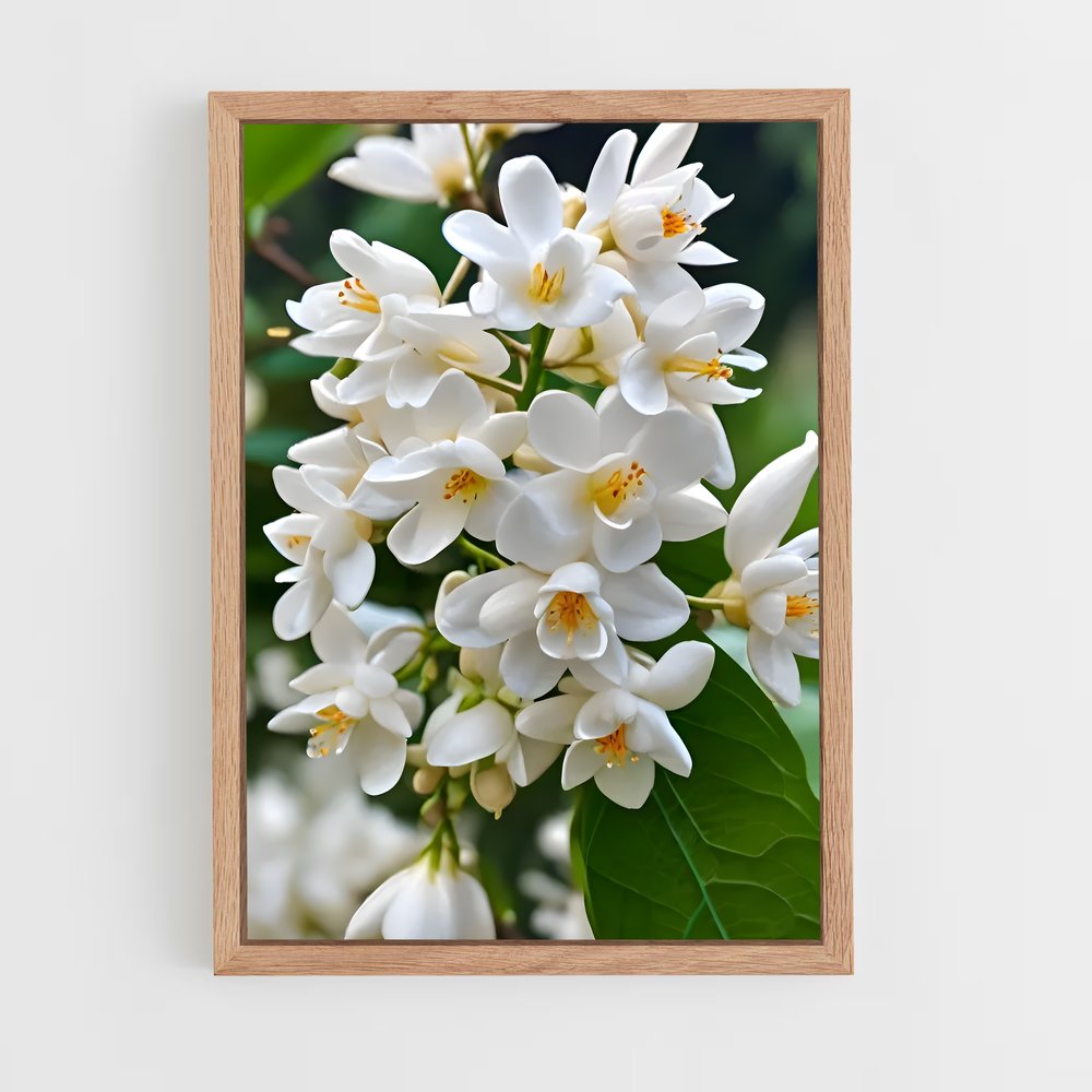 ap-jasmine-4 cadre Bois clair
