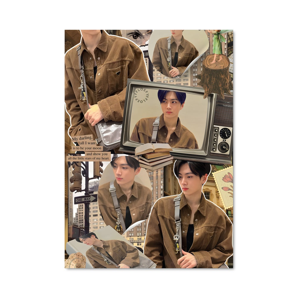 Poster Le Mystère du Manteau Brun