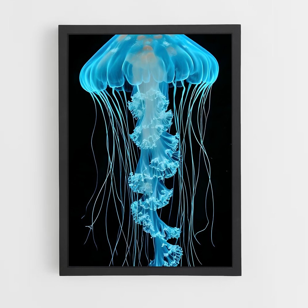 ap-jellyfish-3 cadre Noir