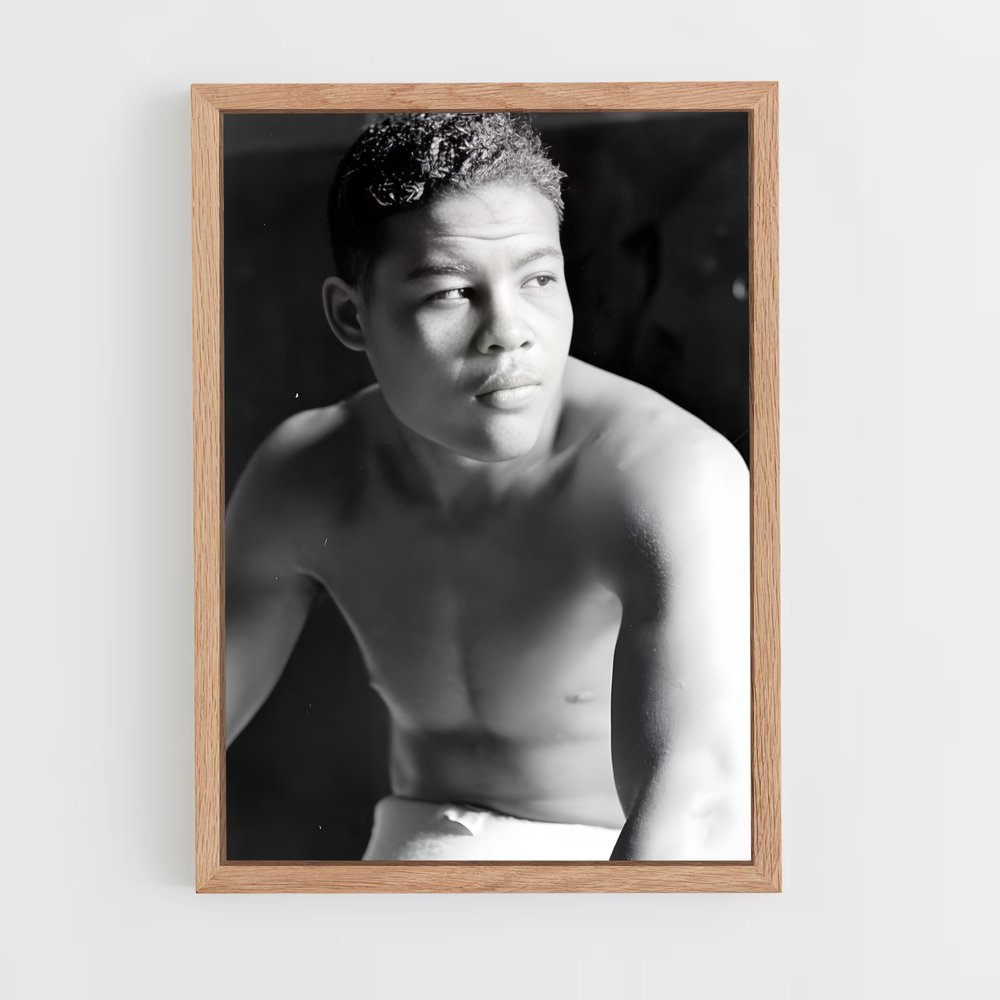 ap-joe louis-3 cadre Bois clair