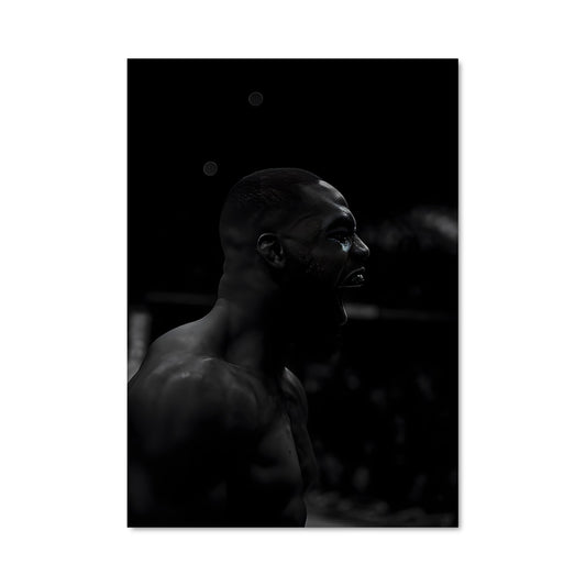 Poster Jon jones 62282