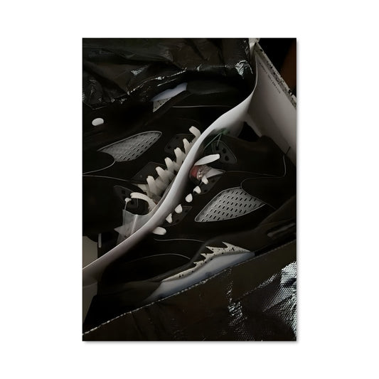Poster Jordan 5 22982