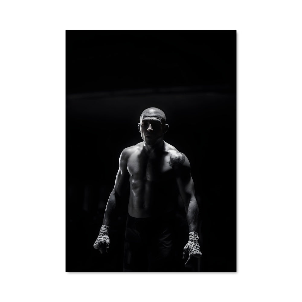 Poster Jose aldo 62296